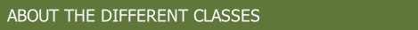 ABOUT THE DIFFERENT CLASSES